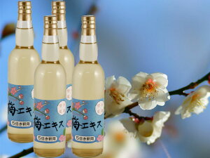 yӂ邳Ɣ[Łz7-T07 Âӂ闢̖ ~GLX ~ ZkGLX 550ml 4{  \[_ qlɂ