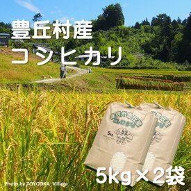 【ふるさと納税】豊丘のお米！コシヒカリ計10kg（5kg×2）