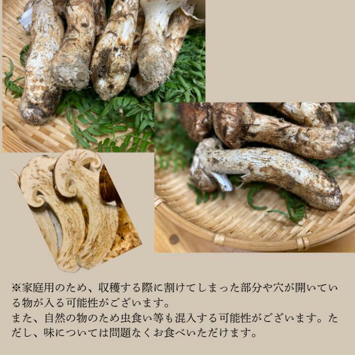 楽天市場】【ふるさと納税】信州産「松茸」約400g ご家庭用 訳 