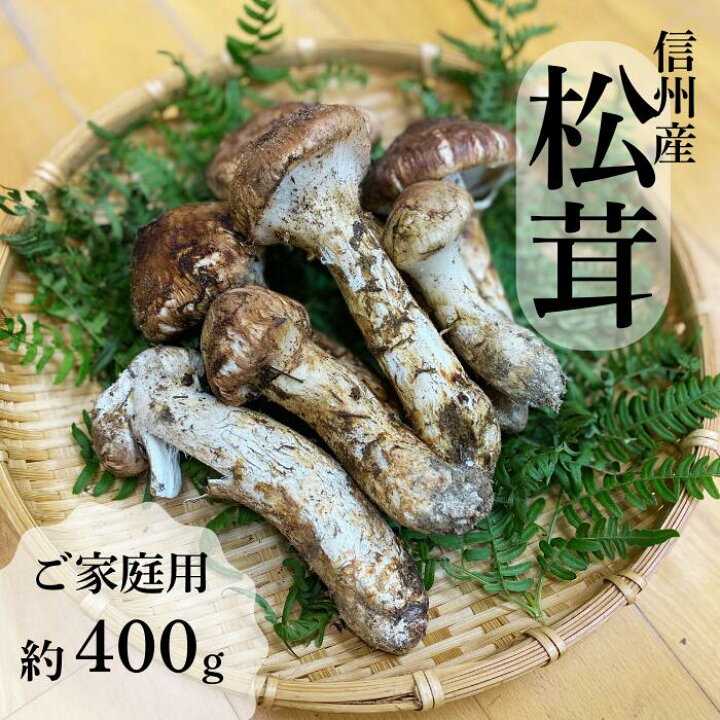 楽天市場】【ふるさと納税】信州産「松茸」約400g ご家庭用 訳 