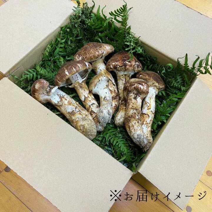 楽天市場】【ふるさと納税】信州産「松茸」約400g ご家庭用 訳 
