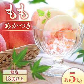 【ふるさと納税】【2026年発送先行予約】桃　あかつき 約5kg（10〜18玉）　※2026年7月下旬〜8月初旬発送予定※