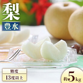 【ふるさと納税】＜先行予約＞梨 豊水 約5kg[8〜16玉]　※2026年8月下旬〜9月上旬発送※