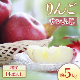 【ふるさと納税】＜先行予約＞りんご サンふじ[10〜20玉]※2026年11月下旬〜12月中旬発送※