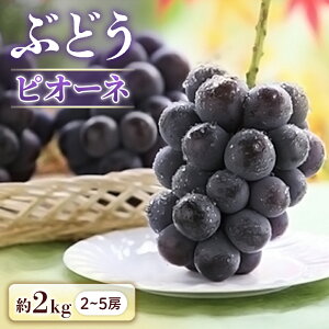 yӂ邳Ɣ[Łzs\񁄂Ԃǂ sI[l 2kg[2`5[]2026N9{`9{\聦