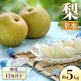 【ふるさと納税】＜2026年発送先行予約＞梨 幸水 約5kg[8〜16玉]