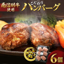 【ふるさと納税】南信州牛こだわりハンバーグ 6個