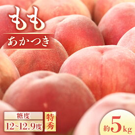 【ふるさと納税】【2026年発送先行予約】もも　あかつき＜秀品＞ 約5kg【10～18玉】※2026年7月下旬～8月上旬発送※