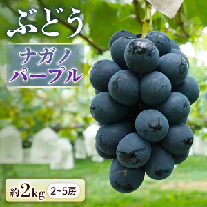 yӂ邳Ɣ[Łzs\񁄂Ԃǂ iKmp[v 2kg[2`5[]2026N8{`9{\聦