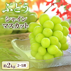 yӂ邳Ɣ[Łzs\񁄂Ԃǂ VC}XJbg 2kgy2`5[z2026N9{`10{\聦