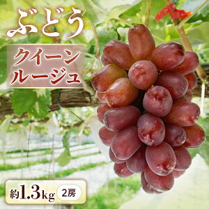 yӂ邳Ɣ[Łzs\񁄂Ԃǂ NC[[W1.3kg[2[]2026N9{`9{\聦