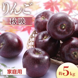 【ふるさと納税】＜先行予約＞りんご 秋映＜ご家庭用＞【10〜20玉】※2026年9月下旬〜10月中旬発送※