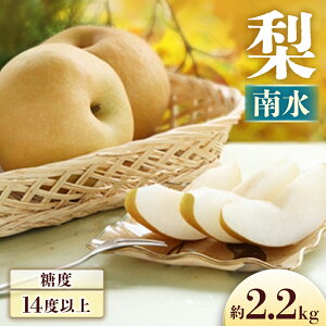 yӂ邳Ɣ[Łzs\񁄗 쐅 2.2kg@2026N9{`10{\聦