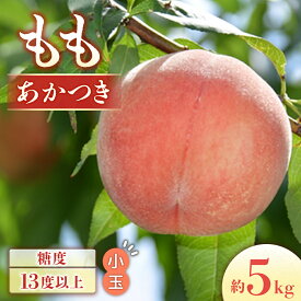 【ふるさと納税】＜先行予約＞もも あかつき（小玉）約5kg [20〜22玉]※2026年7月中下旬〜8月初旬発送※　桃 長野県産 スイーツ フルーツ 果物 先行予約 数量限定 期間限定 モモ