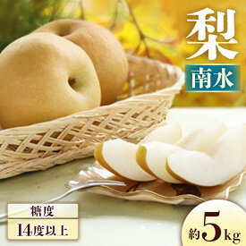 【ふるさと納税】＜先行予約＞梨 南水[8〜16玉]約5kg※2026年発送　先行予約分※