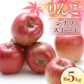 【ふるさと納税】＜先行予約＞りんご シナノスイート[10〜20玉]　※2026年10月上旬〜10月下旬発送※