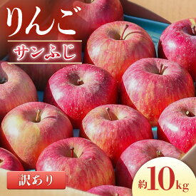 【ふるさと納税】＜先行予約＞りんご サンふじ＜訳あり品＞ 約10kg[20〜40玉]※2026年11月下旬〜12月中旬発送※