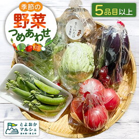 【ふるさと納税】【5品目以上】季節の野菜詰め合わせ