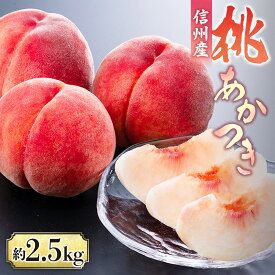 【ふるさと納税】【2026年発送先行予約】桃　あかつき 約2.5kg【6～10玉】※2026年発送先行予約分※　農家直送　もも