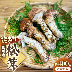 【ふるさと納税】信州産「松茸」約400g ご家庭用 訳あり品※2026年発送　なくなり次第終了※