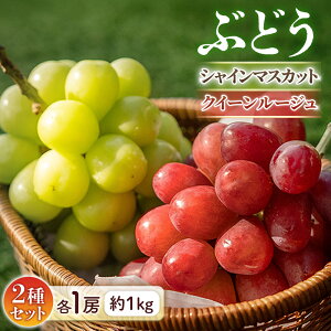 yӂ邳Ɣ[Łzs\񁄂Ԃǂ VC}XJbgNC[[WR e1[[1kg]2026N9{`9{\聦