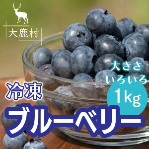 【ふるさと納税】大きさいろいろ冷凍ブルーベリー1kg