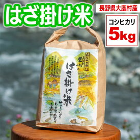 【ふるさと納税】はざかけ米（令和7年度産米）5kg