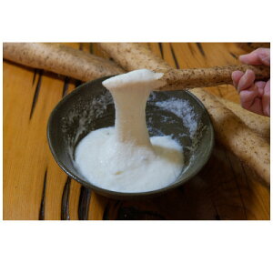 �y�ӂ邳�Ɣ[�Łz�M�B��ؑ]�Y�@���Y��100%�@���肨�낵���R��250g�y�z���s�n��F�����z�y1476940�z