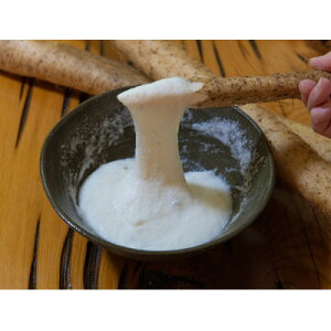 �y�ӂ邳�Ɣ[�Łz�M�B��ؑ]�Y�@���Y��100%�@���肨�낵���R���������p�b�N180g�y�z���s�n��F�����z�y1476941�z