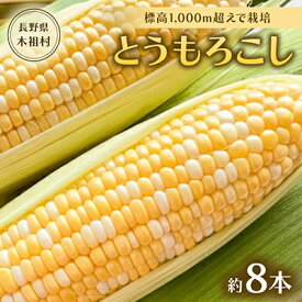 【ふるさと納税】【標高1,000m超えで栽培。甘くて美味しい!】木祖村産とうもろこし約3キロ以上(約8本)【配送不可地域：離島・北海道・沖縄県】【1507589】