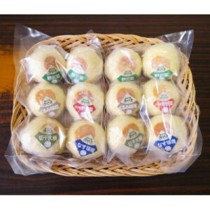 【ふるさと納税】【毎月定期便】【ふっくらほんのり甘みのある皮が特徴】源流の里おやきセット全6回【配送不可地域:離島】【4074301】