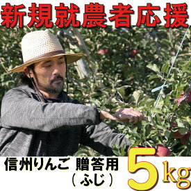 【ふるさと納税】 りんご 5kg 期間限定 【新規就農者応援】 ふじ 伊藤 快 贈答用 果物 フルーツ 先行 予約 信州 麻績村