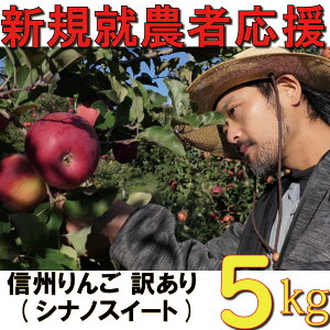 【ふるさと納税】 訳あり りんご 5kg 【新規就農者応援】 シナノスイート 伊藤 快 果物 フルーツ 先行 予約 信州 麻績村 不揃い 規格外 家庭用