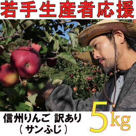 【ふるさと納税】【2026年 先行予約 令和8年産】 訳あり りんご 5kg 期間限定 【若手生産者応援】 ふじ サンふじ 伊藤 快 果物 フルーツ 信州 麻績村 不揃い 規格外 家庭用