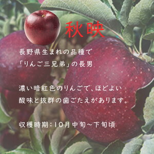 yӂ邳Ɣ[Łzy2025N s\z ё  Ԍ Ii 3kg Mtg p 蕨 pɂ Mtgɂ  ݂ǂ Vimbv Hf VimXC[g VimS[h 
