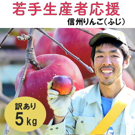 【ふるさと納税】 訳あり りんご 5kg 期間限定 【若手生産者応援】 ふじ サンふじ 川上啓介 果物 フルーツ 先行 予約 信州 麻績村 不揃い 規格外 家庭用