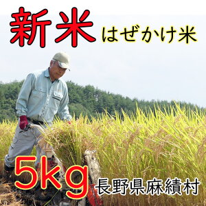 yӂ邳Ɣ[Łzs\ V  ͂ \ 5kg R V  ё 5kg ͂ MB 쌧 