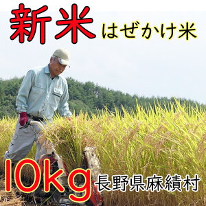 yӂ邳Ɣ[Łzs\ V  ͂ \ 10kg R V  ё 5kg+5kg ͂ MB 쌧 