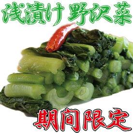 【ふるさと納税】数量限定 期間限定 先行予約 信州 麻績村 浅漬け 野沢菜 詰め合わせセット 唐辛子 昆布