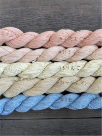 【ふるさと納税】 長野県麻績村 草木染 刺し子糸 10g×5色セット 刺繍 no.10