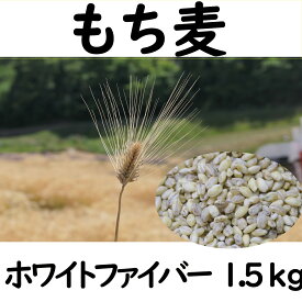 【ふるさと納税】 もち麦 1.5kg 750g ×2セット 長野県産 ホワイトファイバー 栽培期間中 化学肥料 農薬不使用 おいしく 健康的 キレイの素 信州の環境にやさしい農産物 プレミアムライセンス ベストファーマー 信州匠選 信州産 選べる 1.5kg 1500g 750g