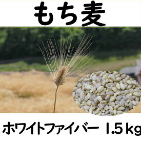 【ふるさと納税】 もち麦 1.5kg 長野県産 ホワイトファイバー 栽培期間中 化学肥料 農薬不使用 おいしく 健康的 キレイの素 環境にやさしい 信州匠選