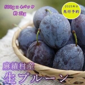 yӂ邳Ɣ[Łzy2025N s\zv[  2kg 500g ×4pbN t[c ʕ v[ Tv[ X^C Yn \ ё Vԗi ߘa7N n 9 9{t 9