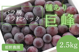 yӂ邳Ɣ[Łzys\z2025NY 󂠂 킠苐o[EopbN2.5kg