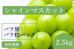 yӂ邳Ɣ[Łzys\z2025NY 󂠂 VC}XJbg o[EopbN2.5kg ʕ Ԃǂ t[c 쌧Y