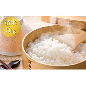 【ふるさと納税】いくさかのお米 5kg 白米 こしひかり コシヒカリ 米　【お米・白米】