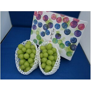 yӂ邳Ɣ[Łzy2026Ns\z_ VC}XJbg2~3[ 1kg ʕ Ԃǂ t[c