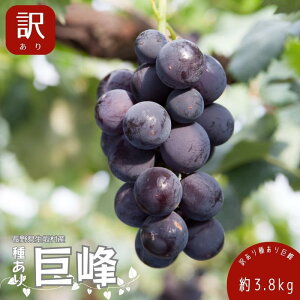 yӂ邳Ɣ[Łzy2026N s\z 󂠂 킠苐 3.8kgi9~13[j ʕ t[c fU[g  H 쌧Y  Ԃǂ Z F