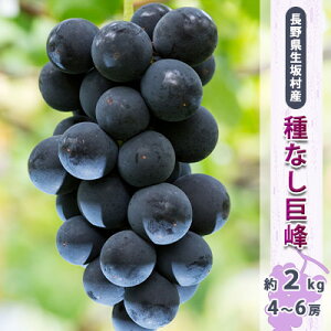 �y�ӂ邳�Ɣ[�Łz�y2026�N��s�\��z��Ȃ�����4~6�[�����1.7~2kg �ʕ��� �t���[�c �ʕ� �V�N ���X����