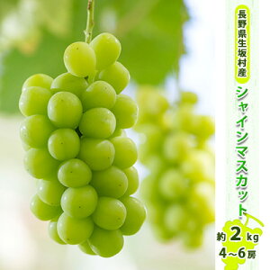 yӂ邳Ɣ[Łz2025Ns\ VC}XJbg4`6[ 1.7`2kg ʕ t[c ʕ VN X